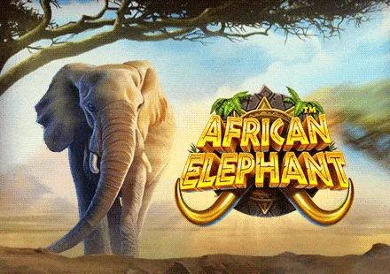 African Elephant