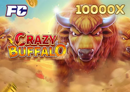 CRAZY BUFFALO